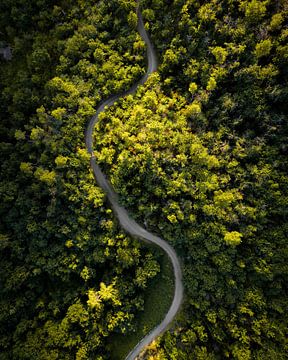 the snake in the mountains by Britt Spee