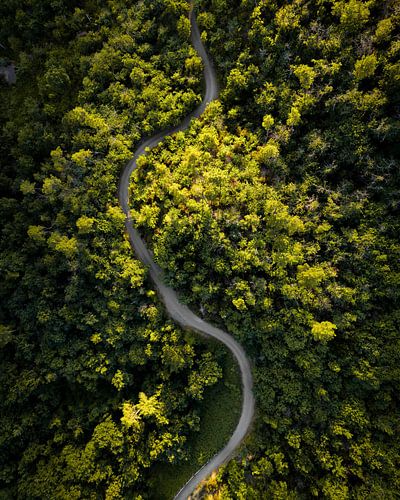 de slang in de bergen