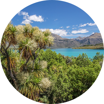 Tropisch gletsjermeer Lake Wakatipu, Nieuw Zeeland