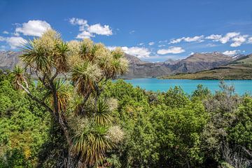 Tropisch gletsjermeer Lake Wakatipu, Nieuw Zeeland van Christian Müringer