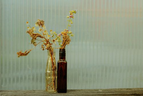 Dried Wildflowers in Glass & Amber Bottle | Minimalist Fluted‑Glass Still Life