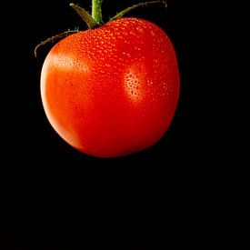 Tomate sur Rob van Soest