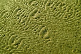 Golfstructuren in het zand van het strand van Langeoog van Karl-Heinz Petersitzke