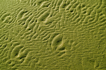 Golfstructuren in het zand van het strand van Langeoog