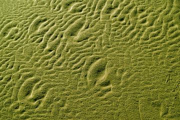 Wave structures in the sand of Langeoog beach by Karl-Heinz Petersitzke
