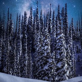 Starry Night Winter Landscape Photography - Milchstraße Galaxie Nightscape Wall Art - Home and Office Wall Decor - Fine Art Photography Prints von Daniel Forster