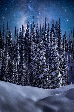 Starry Night Winter Landscape Photography - Milchstraße Galaxie Nightscape Wall Art - Home and Office Wall Decor - Fine Art Photography Prints von Daniel Forster