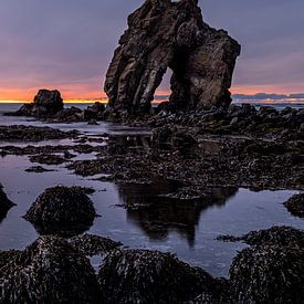 Ark the Triumph of Iceland by Marco Schep