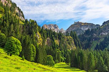 Malerischer Bergwald überm Großen Walsertal von Andreas Föll