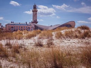 Duinlandschap met de vuurtoren van Warnemünde van Animaflora PicsStock