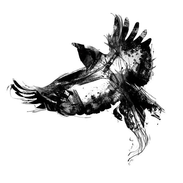 Bird par Teis Albers