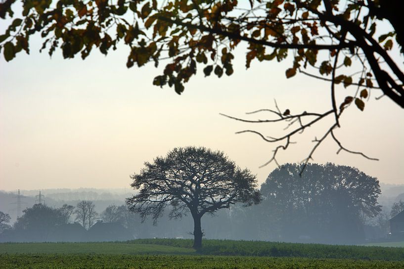 Haaruitzicht van Edgar Schermaul
