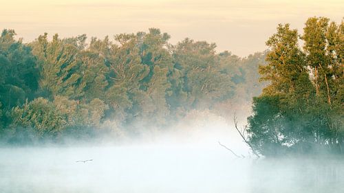 ochtendmist in de Duursche waarden