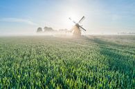 Zonsopkomst bij de Langelandstermolen van Droninger thumbnail