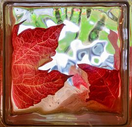 Gouden herfstbladeren door glas baksteen venster