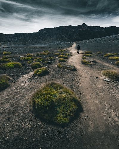 Landscape - New Zealand