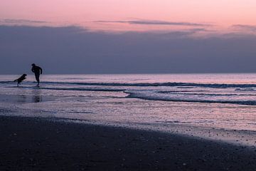 The last colours of the day