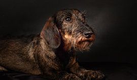 Dirk by Pieter Heres