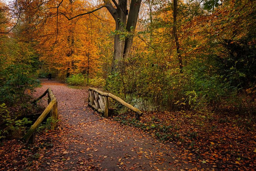 pont en bois par peterheinspictures