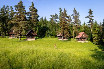 Wandelen door het Nationaal park Slowaaks Paradijs van OCEANVOLTA