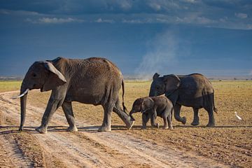 marcherende olifanten van Peter Michel