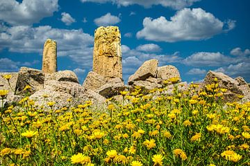 Gele voorjaarsbloemen voor een ruïne van een Griekse tempel van Rietje Bulthuis