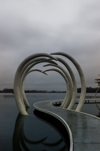 Vlonder in het meer, Slijk-Ewijk van Patrick Verhoef