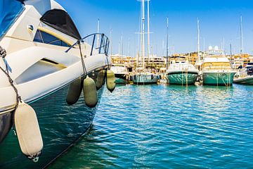 Marina at bay of Alcudia on Mallorca island by Alex Winter