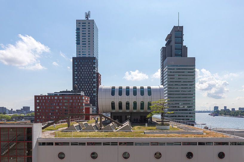 Het groene dak van Las Palmas in Rotterdam van MS Fotografie | Marc van der Stelt
