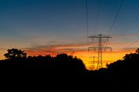 Pflanzen Abendsonne Naturschutzgebiet Maashorst Uden