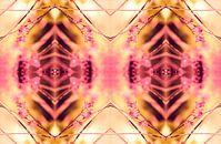 PINK SPANGLES no9-R2L van Pia Schneider thumbnail