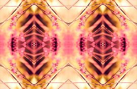 PINK SPANGLES no9-R2L van Pia Schneider