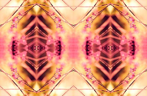 PINK SPANGLES no9-R2L