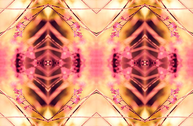 PINK SPANGLES no9-R2L van Pia Schneider