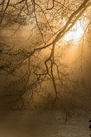 The shadows of the Sorgue 1