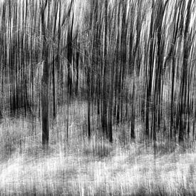 Photographie abstraite d'une forêt en noir et blanc sur Bert Bouwmeester