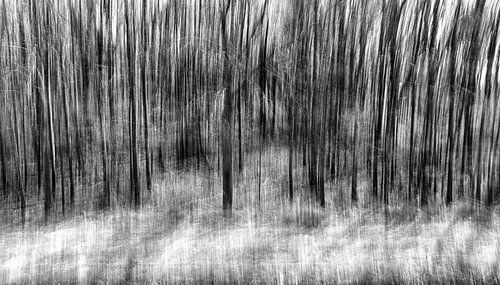 Abstracte fotografie van een bos in zwart/ wit van Bert Bouwmeester