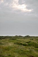 Dänische Dünen