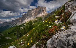 at the Giau Pass in the Dolomites by Alex Neumayer