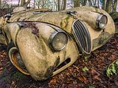 Jaguar XK Oldtimer in the forest by Art By Dominic thumbnail