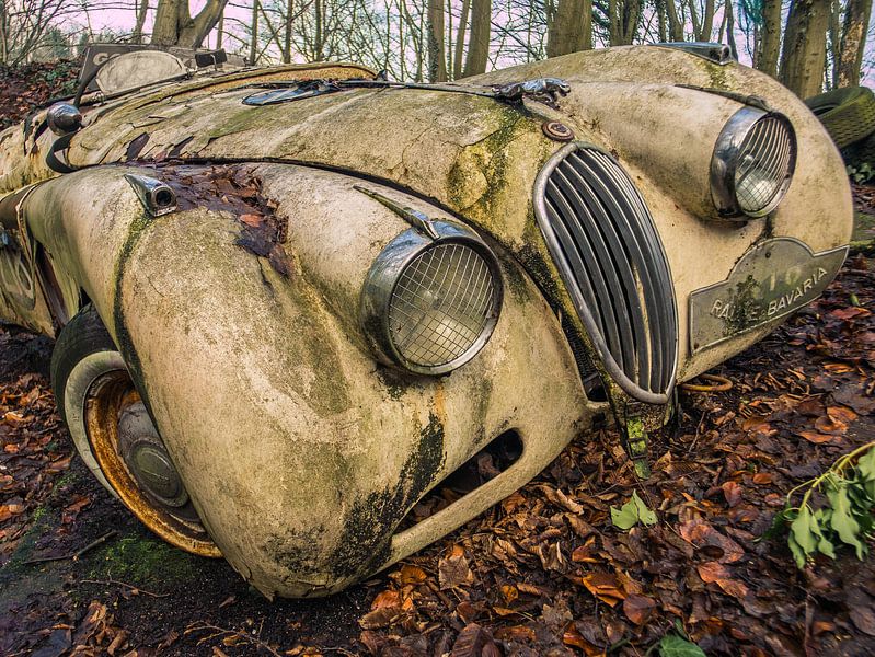 Jaguar XK Oldtimer im Wald von Art By Dominic