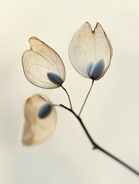 Dry Flower Detail No 11 von Treechild