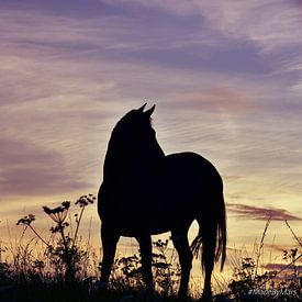 Le ciel en feu sur MadeByMars