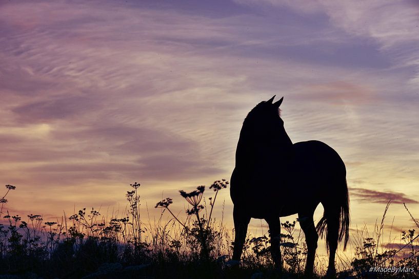 Der Himmel brennt von MadeByMars