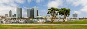SAN DIEGO Skyline | Embarcadero Marina Park North
