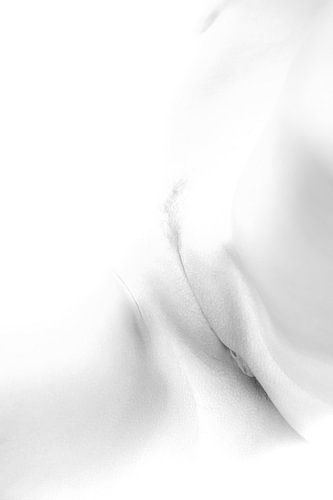 Artistiek Naakt van een Vagina en Buik in High Key Zwart Wit