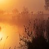 Reflection Sunrise in misty Polder by Coen Weesjes