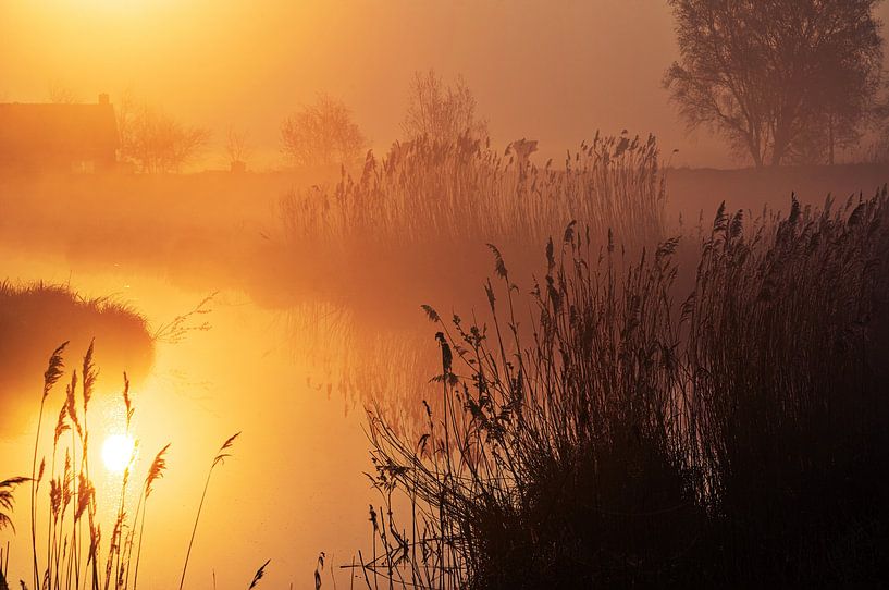 Reflectie Zonsopkomst in mistige Polder van Coen Weesjes