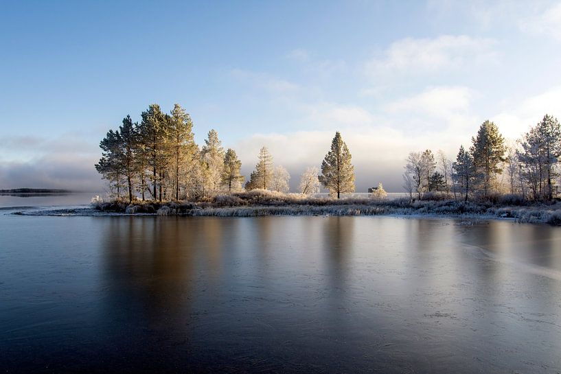 Purity Of Nature by Torfinn Johannessen