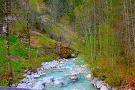 Wildbach